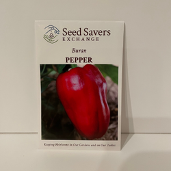 Buran Pepper (Sweet)